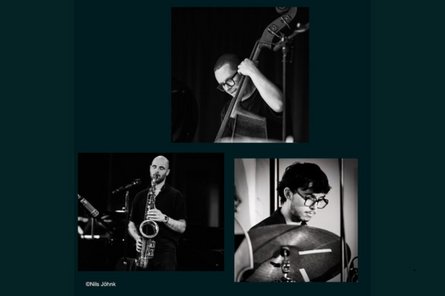 Mario Kolbe Trio Collage der Künstler:innenporträts
