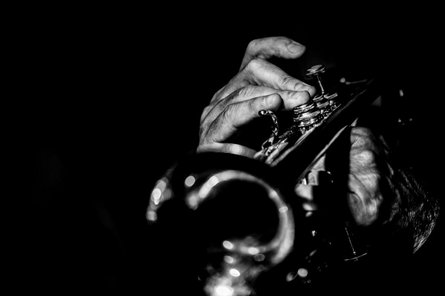 Trumpet Tales eine Trompete