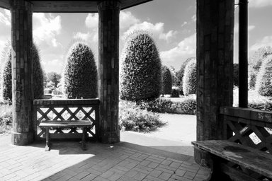 A garden in black and white