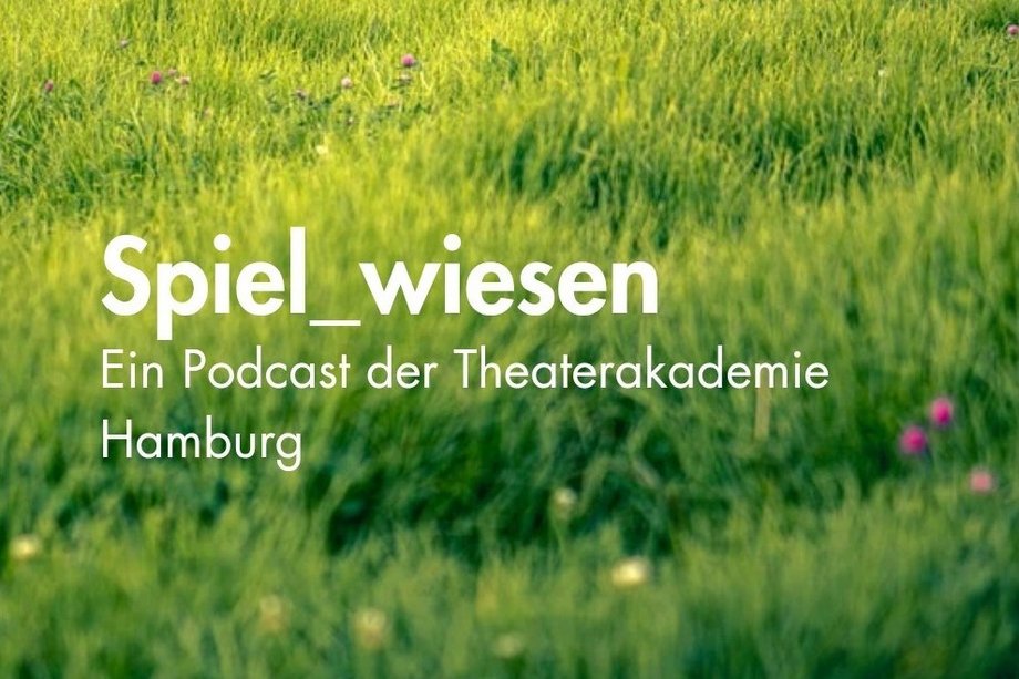 grüne Sommerwiese mit Schriftzug Spiel_wiesen