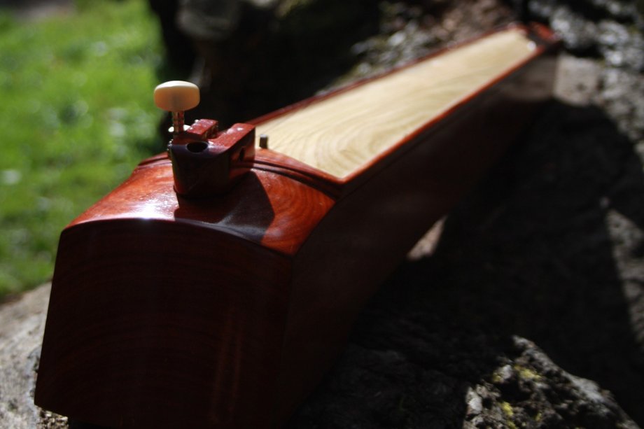 Dan Bau Instrument