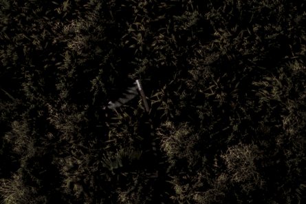 Harvest Vogelperspektive über einem Wald