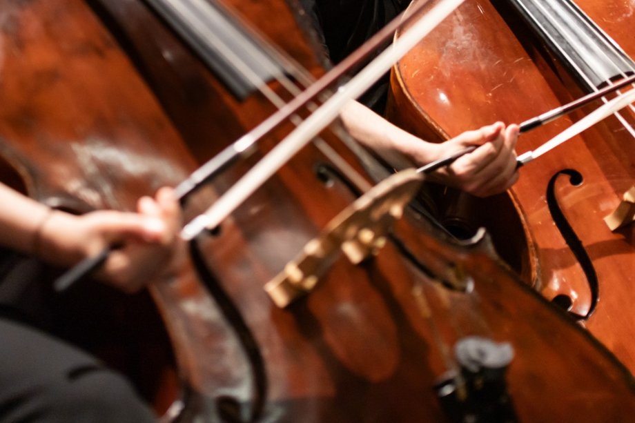 Instrument.Kontrabass Kontrabässe