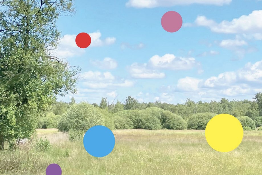 Foto einer Wiese bei Sonnenschein, bunte Kreise im Bild