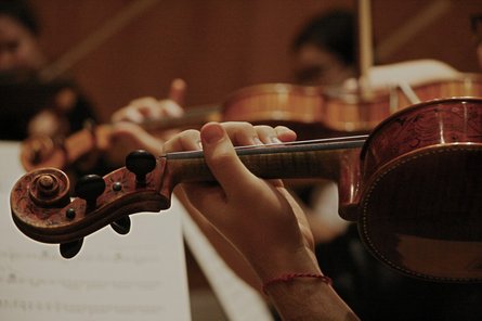 Instrument.Violine