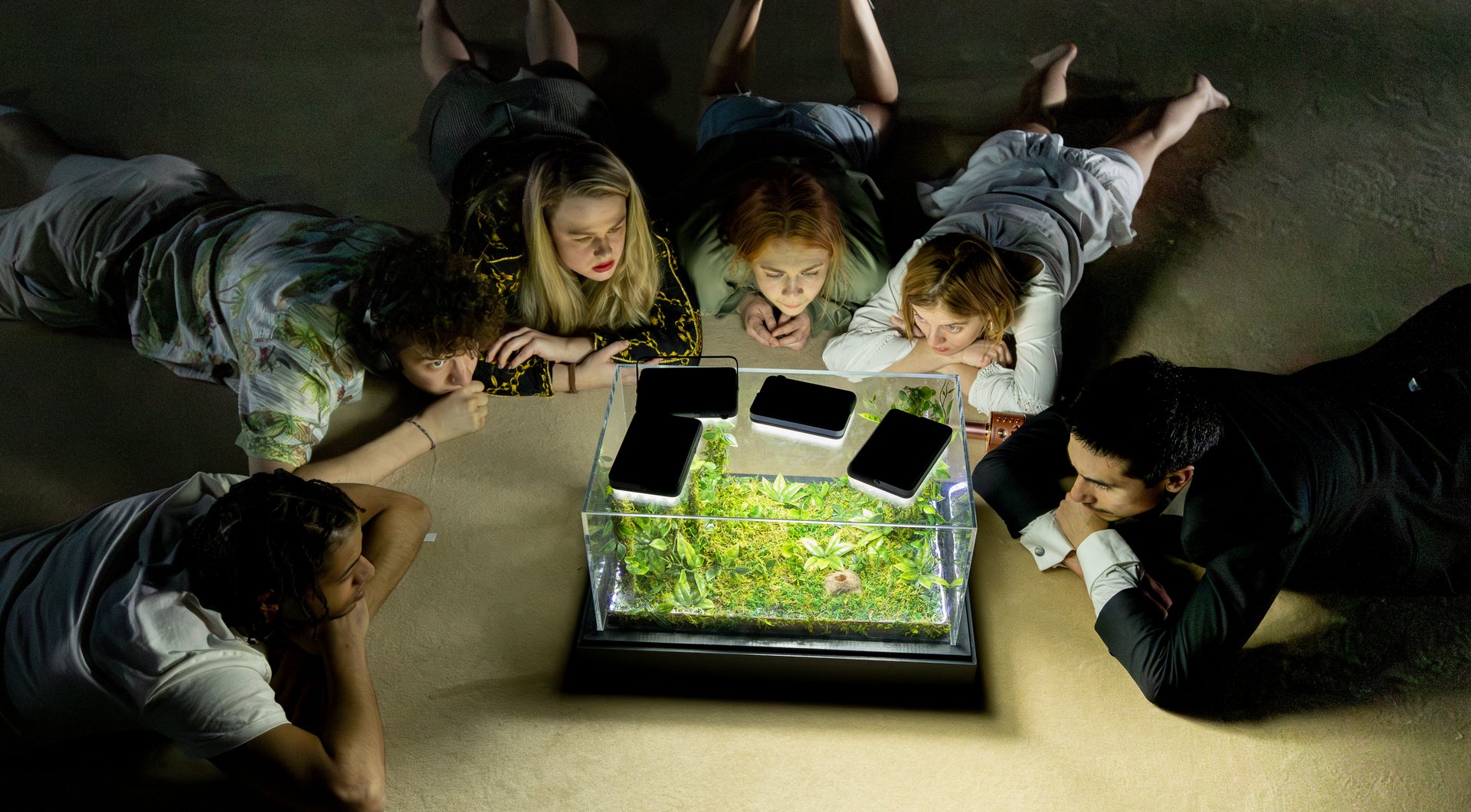 6 people lie on their stomachs and look into a bright terrarium