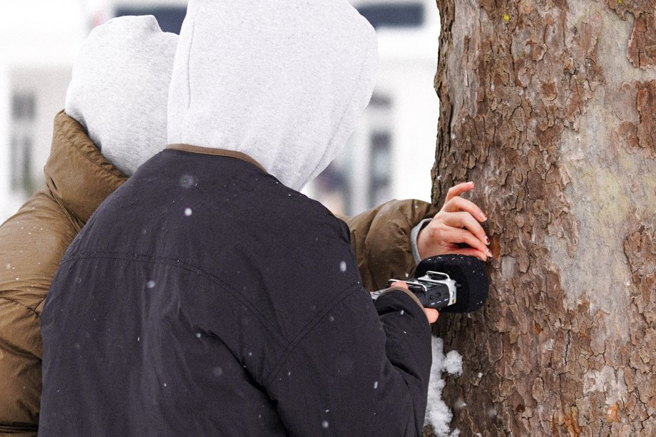 zwei Personen halten ein Mikrofon gegen einen Baum