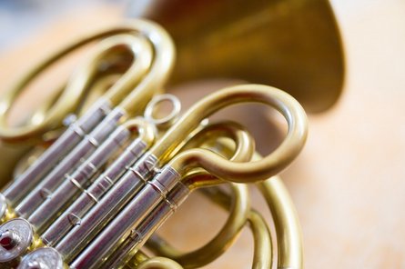 Instrument.Horn2